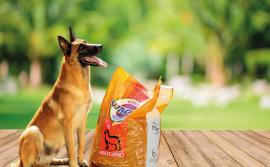 croquettes à domicile