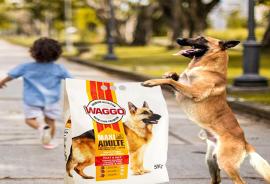 WAGGO_DOG FOOD_NEW_PACKAGING